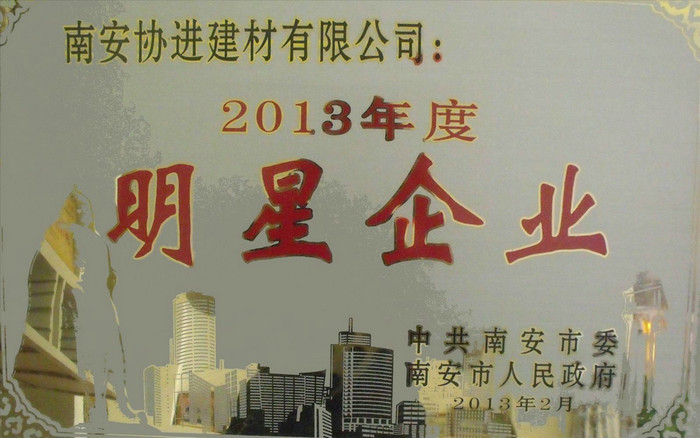 南安市明星企業(yè)2013年